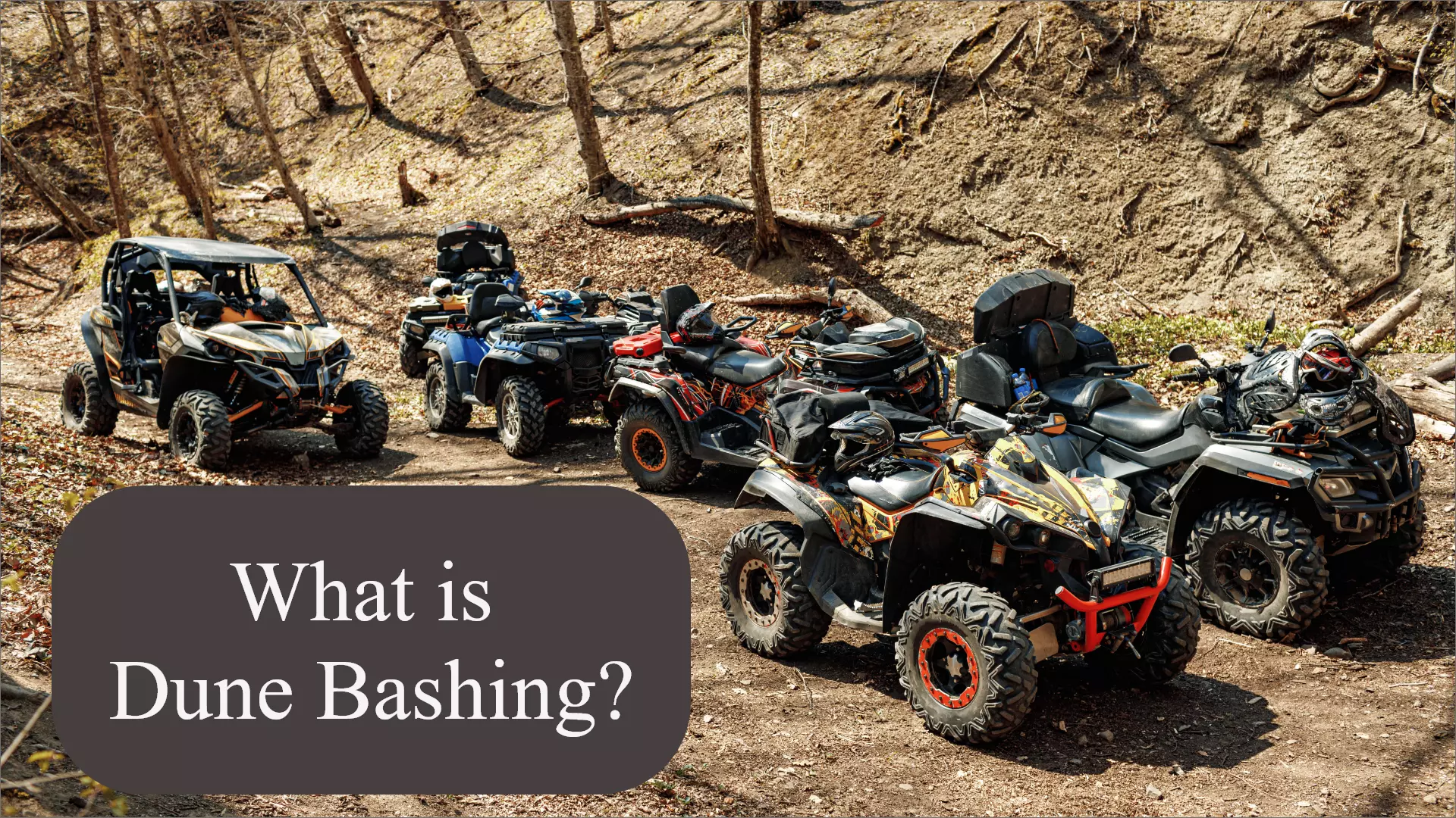 Unforgettable Dune Bashing Adventures in Dubai