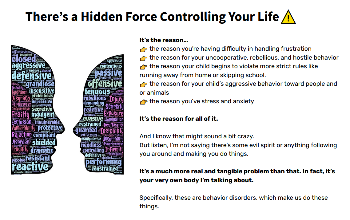 How Supplements For Emotional Regulation Helps Your Body