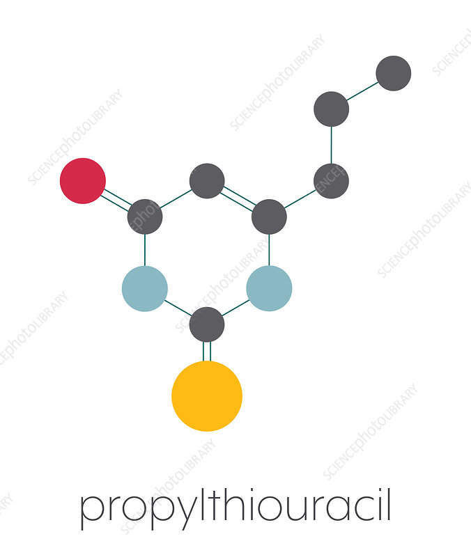 Navigating Growth: Examining the Global Propyl Thiouracil Market Trends and Opportunities