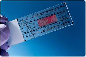 Lab-on-Chip Market Competitive Dynamics: Key Players and Emerging Trends