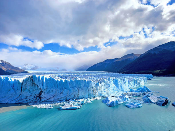 Exploring Wildlife in Glacier Park: 10 Not-to-Miss Encounters