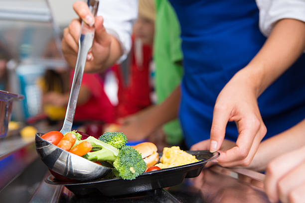 Exploring the Importance of Healthy School Lunches