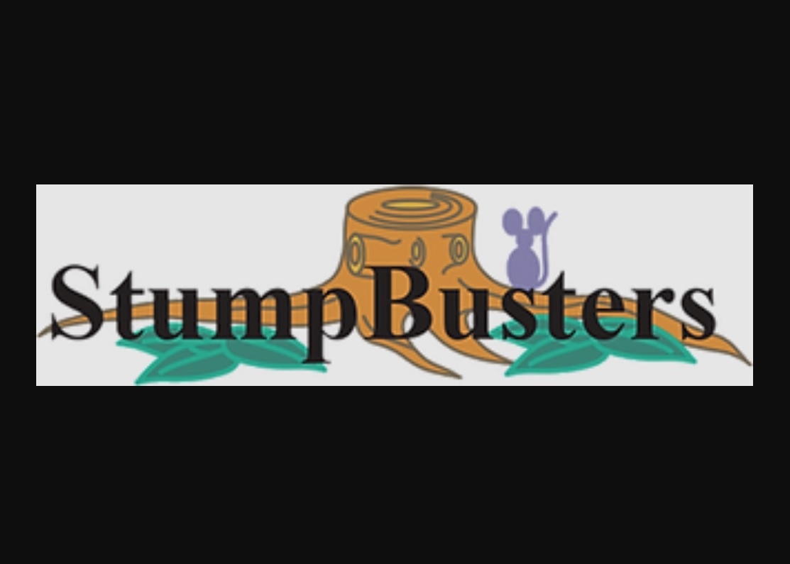 Tree Stump Removal Stroud Gloucestershire: A Crucial Guide