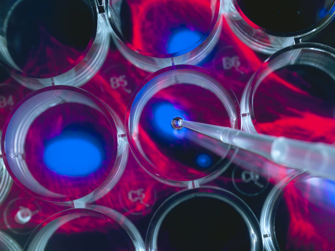 Stem Cell Manufacturing Market: Growing Demand for Regenerative Medicine Solutions Drives Market Growth 