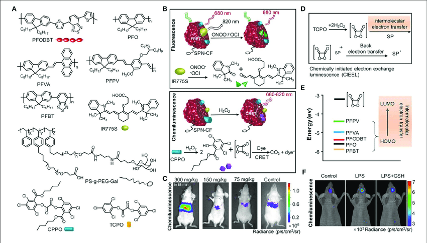 Global Chemiluminescence Imaging Market Is Driven By Growing Adoption Of Technologically Advanced Imaging Systems 