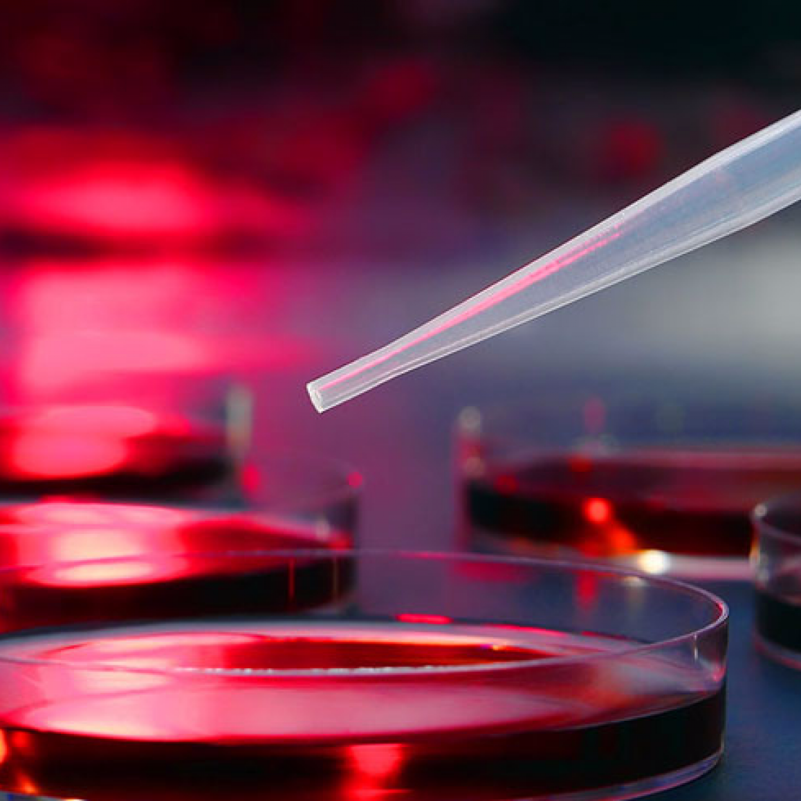 Red Biotechnology Market Connected with Amgen Market Outlook by 2030