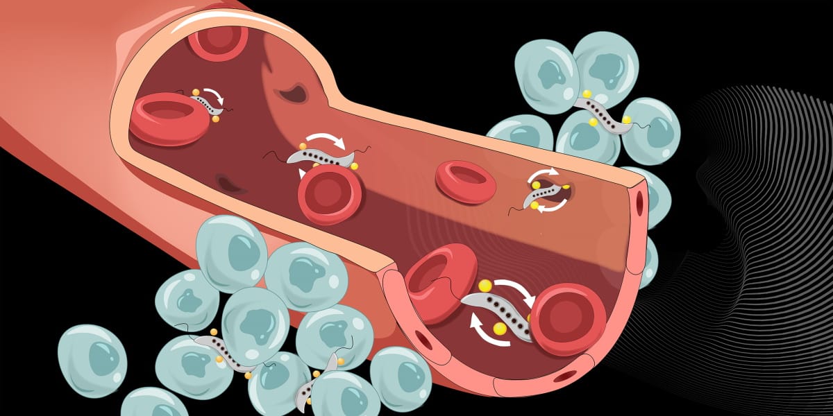 Magnetic Driven Drug Delivery Technology: A Revolutionary Technique for Targeted Treatment