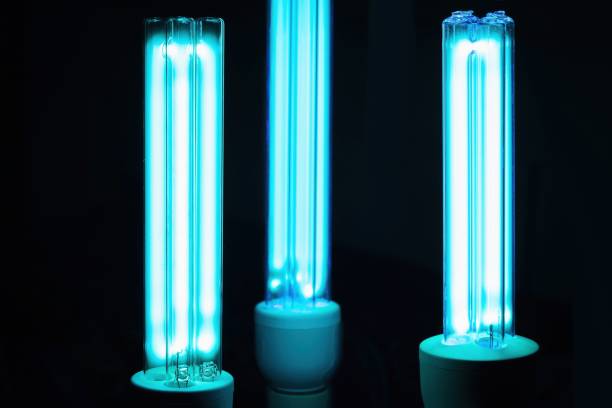 UV Lamps Magic: Transforming Your Environment with Ultraviolet Light
