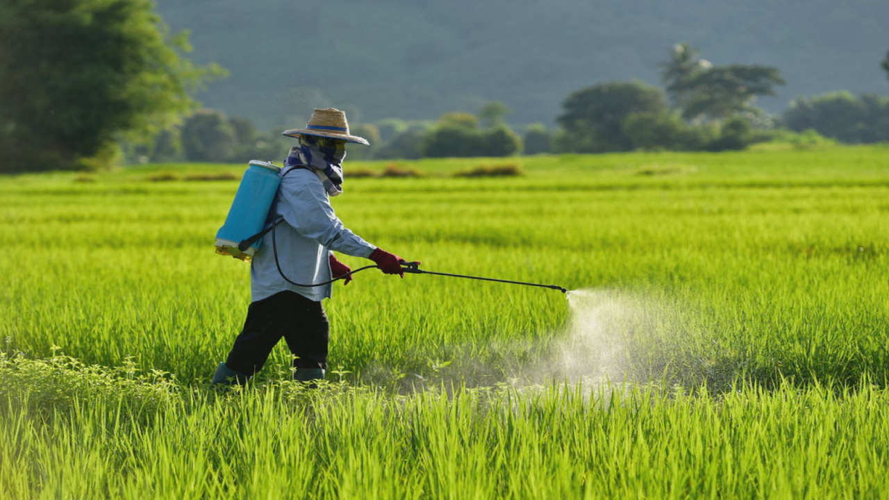 Crop Protection Chemicals Market: Increasing Demand for Agrochemicals to Drive Market Growth