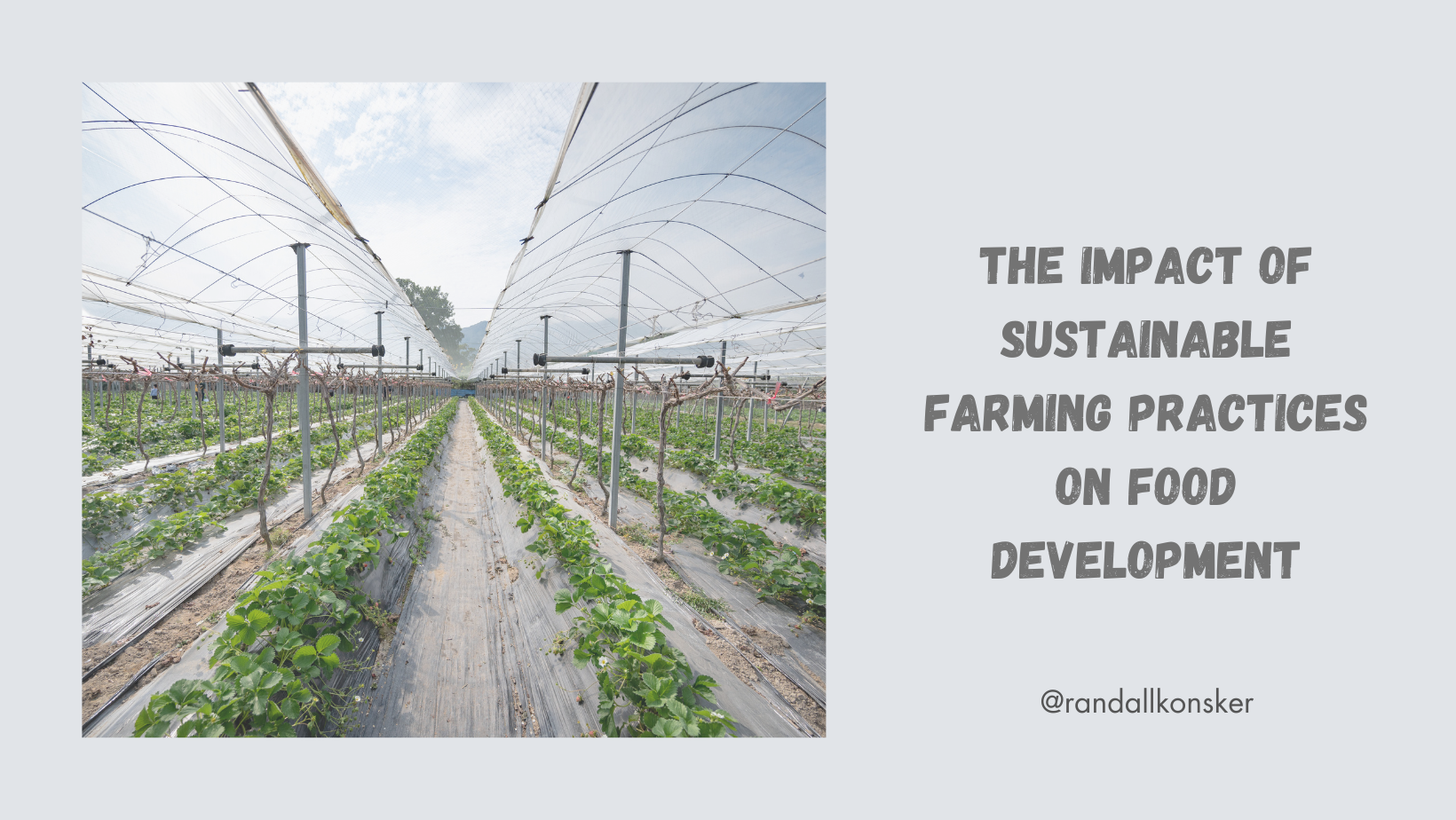 Randall Randy Konsker | The Impact of Sustainable Farming Practices on Food Development