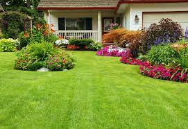 Home Lawn Maintenance – Tips To Follow