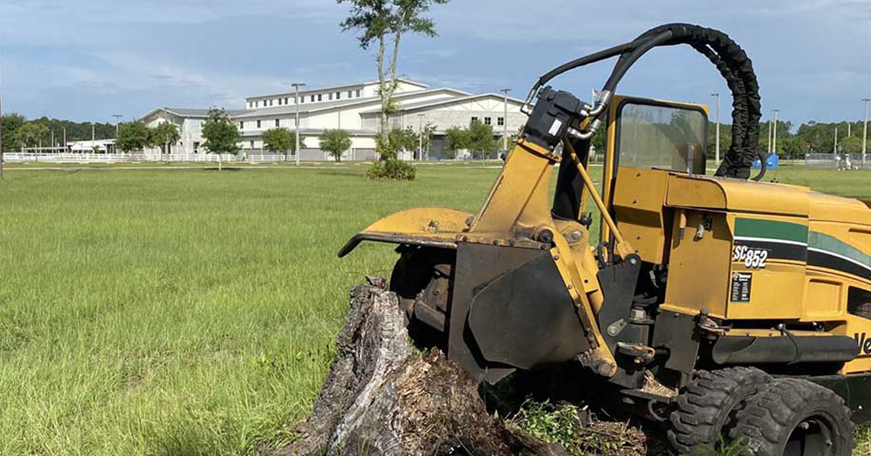 The Secret to Saving on Stump Removal? Stump Grinding!