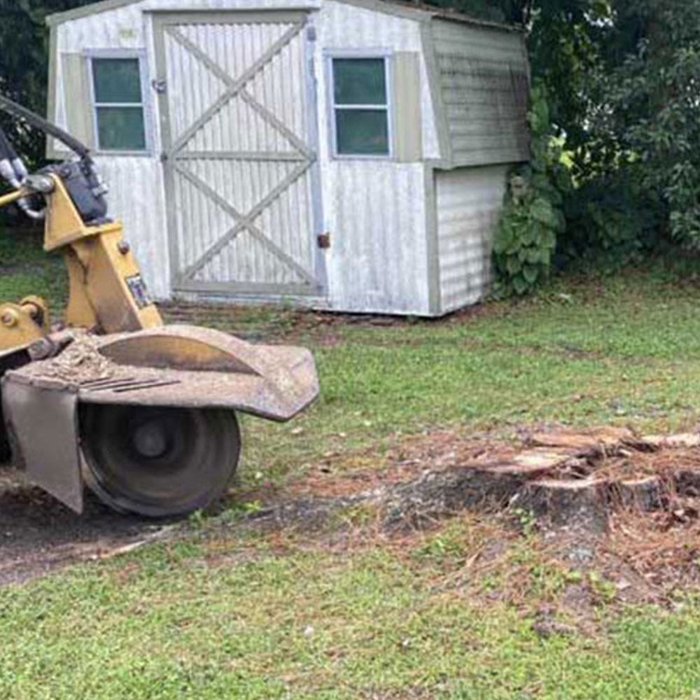 What does grind the stump mean?