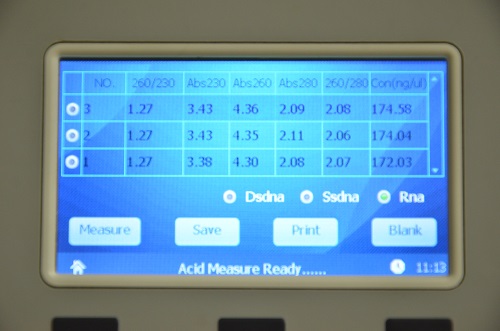 Keyword A260: The Hidden Catalyst in Molecular Biology's Enigmatic Quantum Dance