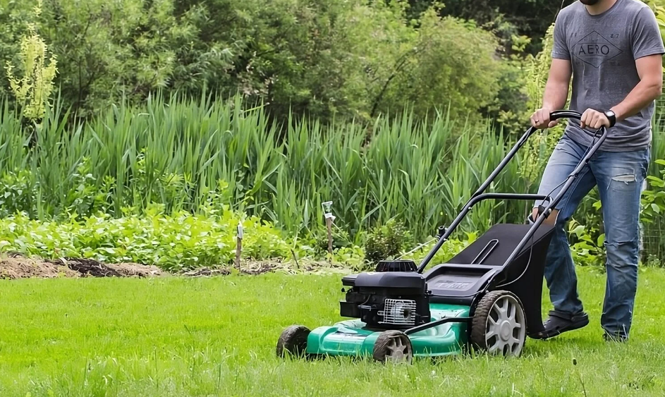 The Importance of Regular Cleaning and Gardening Services for Home Maintenance in Parramatta