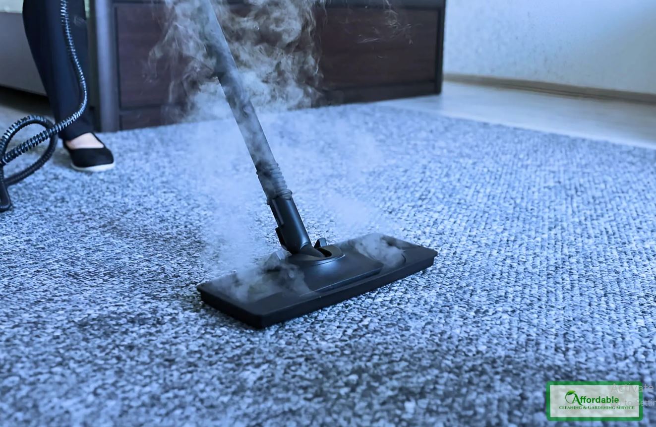 How Often Should You Really Clean Your Carpets?
