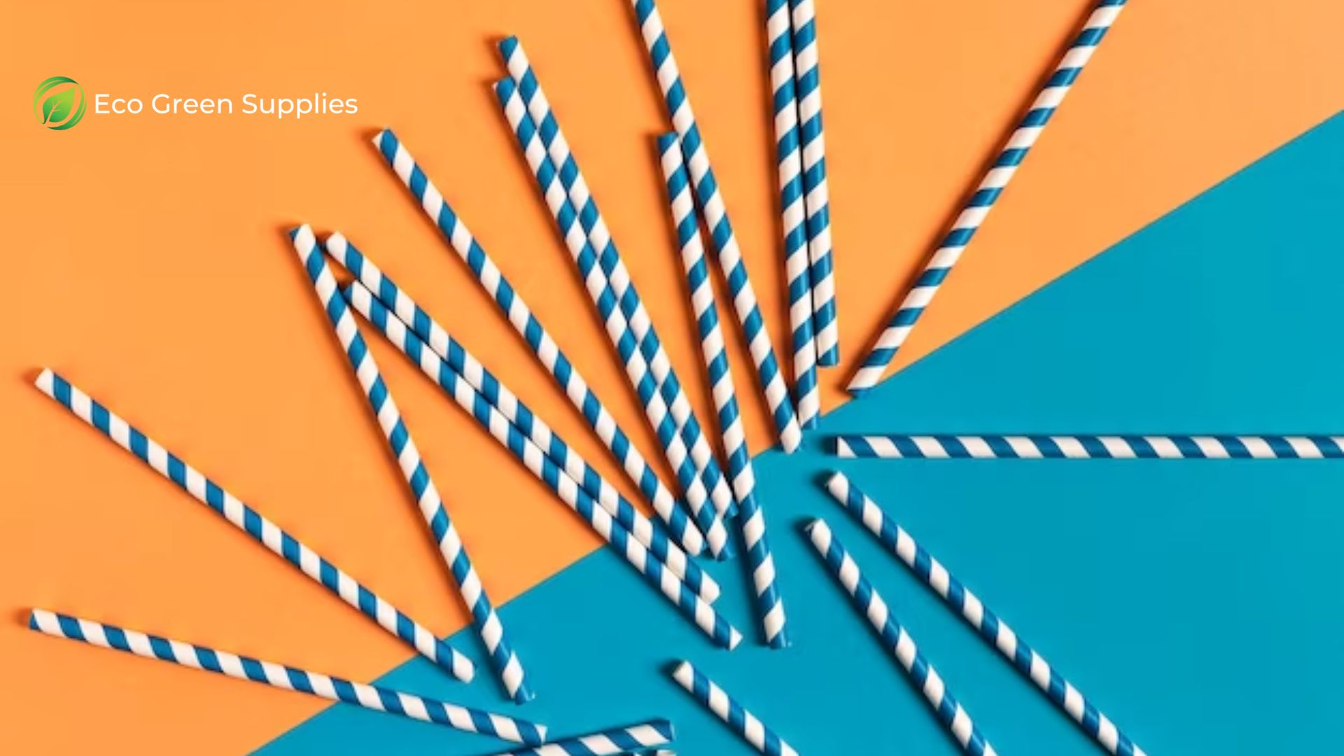 Superior Eco-Friendly Products You Need To Try Once