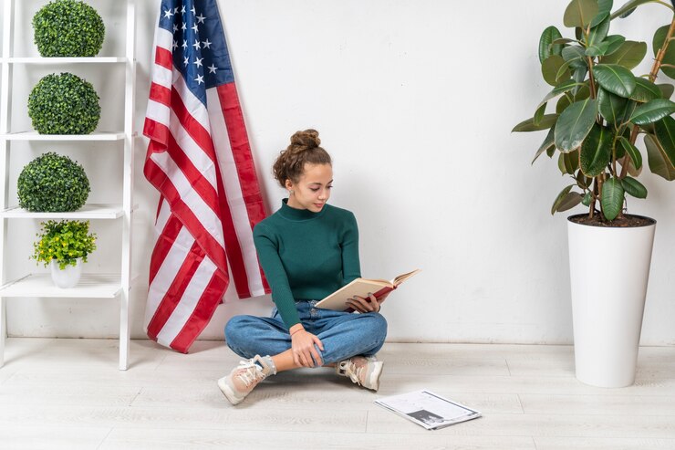 "The E-Visa Phenomenon: Why Travelers Love the U.S."