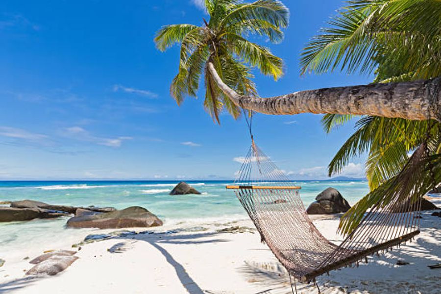 Top 10 beaches to visit in the Seychelles