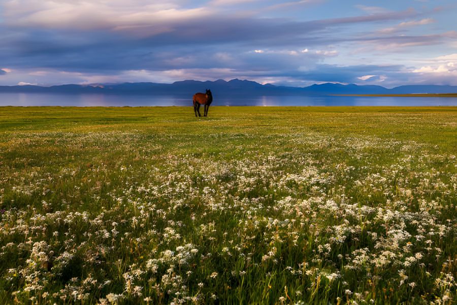 The top 7 most beautiful national parks in Kyrgyzstan that you must visit