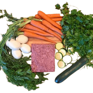 Shop online Raw Food for Dog