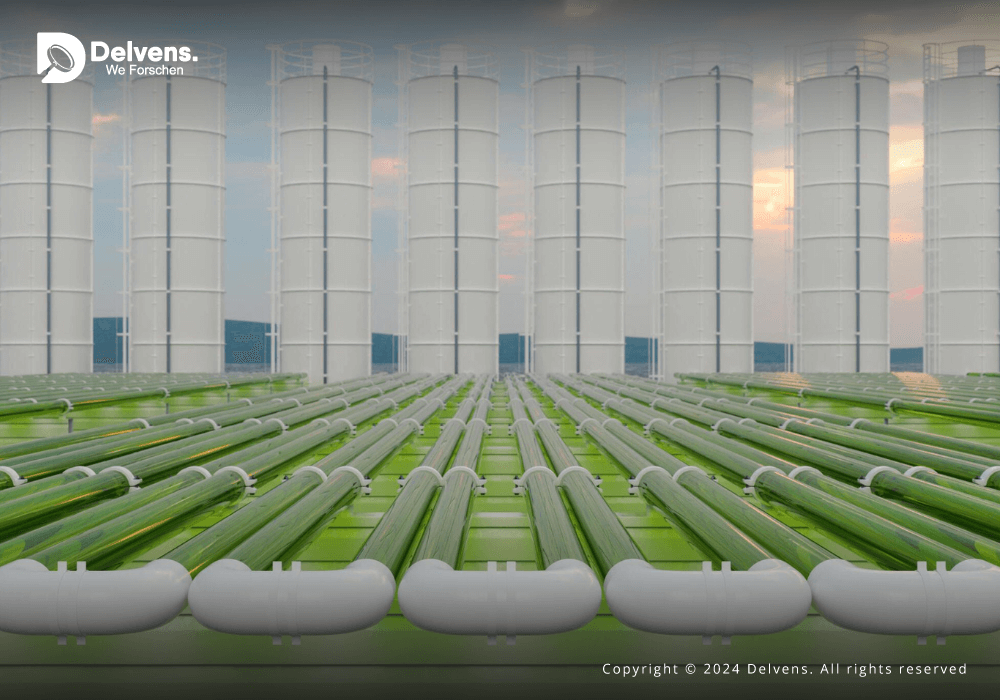 Carbon Capture and Storage (CCS) Market Growth Trends: Research Report and Revenue Forecast 2030