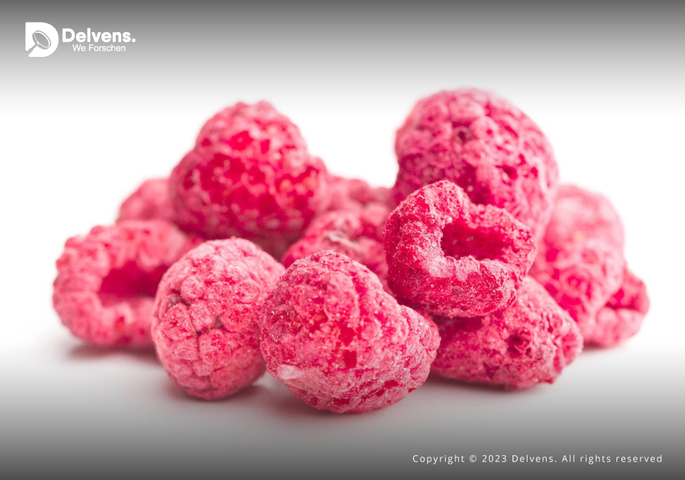 Freeze-Dried Food Market: Unlocking Potential with Size and Trends 2023-2030