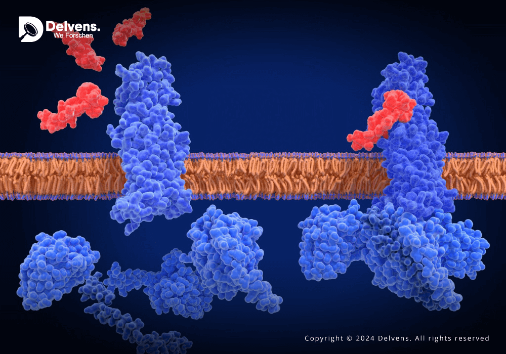 GLP-1 Receptor Agonist Market Research Report: Industry Overview