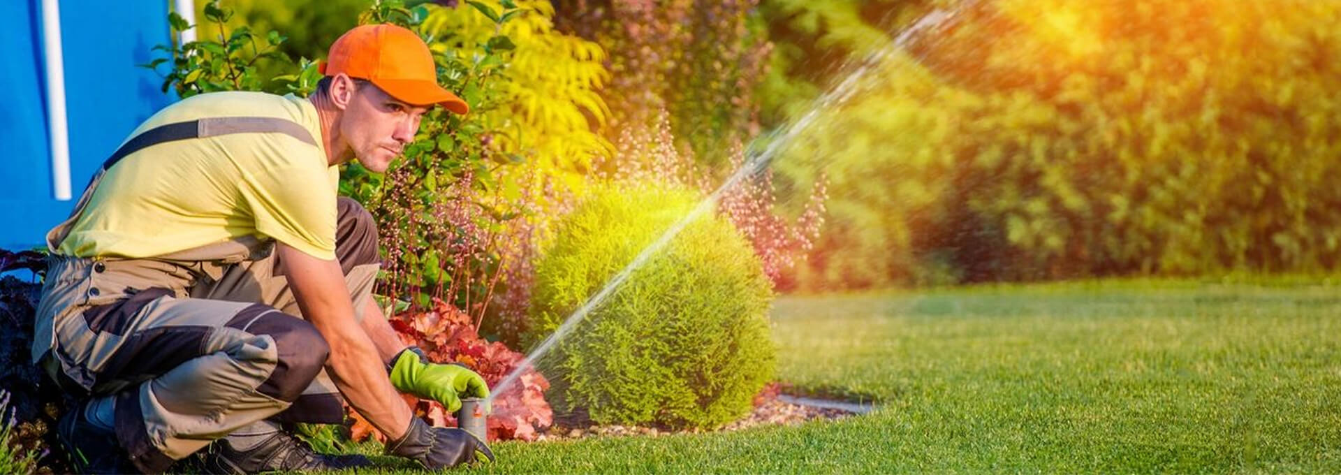Discover Expert Lawn Care Services and More with Northstar Landscaping