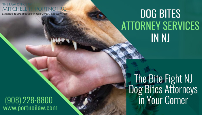 The Bite Fight NJ Dog Bites Attorneys in Your Corner