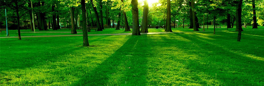 Unknown Facts About  ISO 14001 Certification in Saudi Arabia