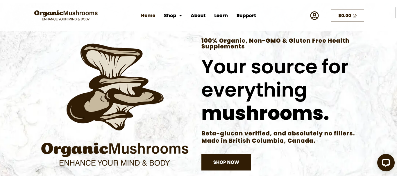 Lion’s Mane Mushroom Extract: A Natural Boost for Your Health and Well-being