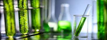 Renewable Methanol Market Size, Global Trends | Analysis 2024-2032