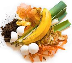 Products from Food Waste Market Size, Industry Trends | Forecast 2024-2032