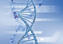 Oligonucleotide Active Pharmaceutical Ingredient Market Forecast 2024-2032