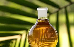 Tribulus Terrestris Extract Supplier Supply Top Quality Products!