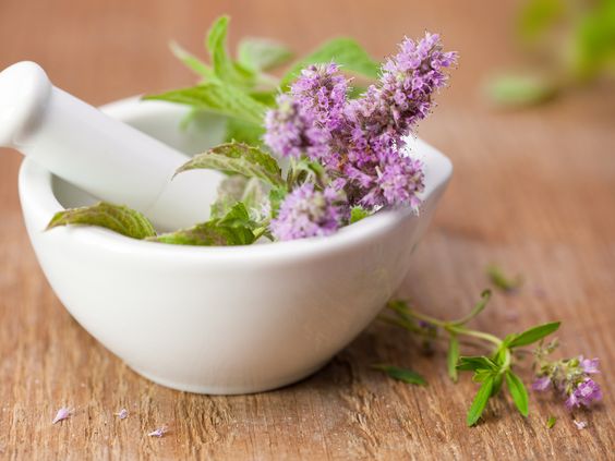 Tribulus Terrestris Extract Supplier Supply Top Quality Products!