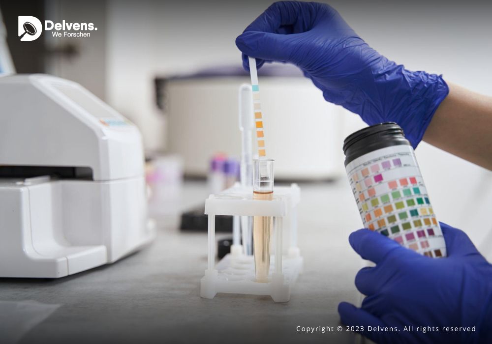 Riding the Wave: LIMS Market Growth and Forecast Beyond 2028