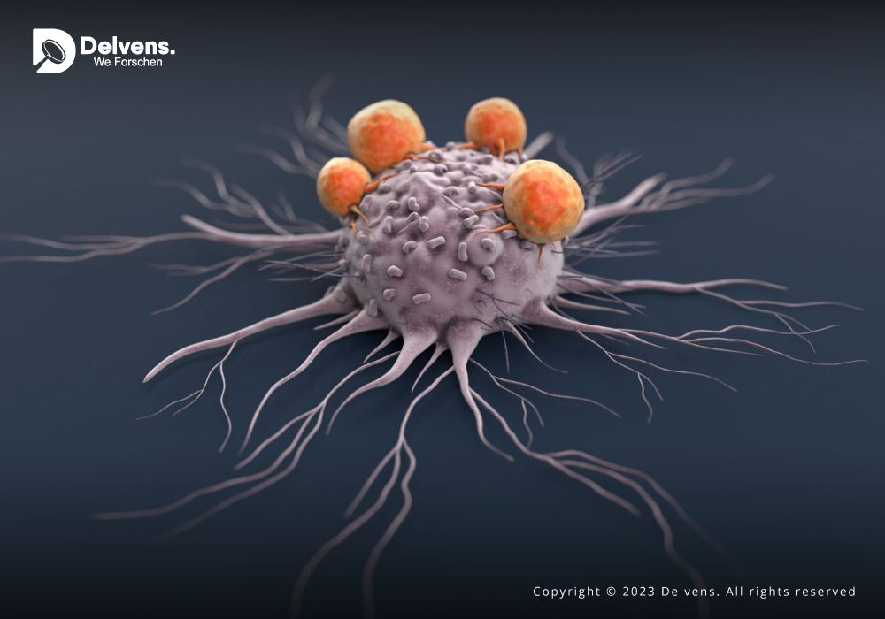 Size, Share, and Forecast: Decoding the Immunology Market Landscape