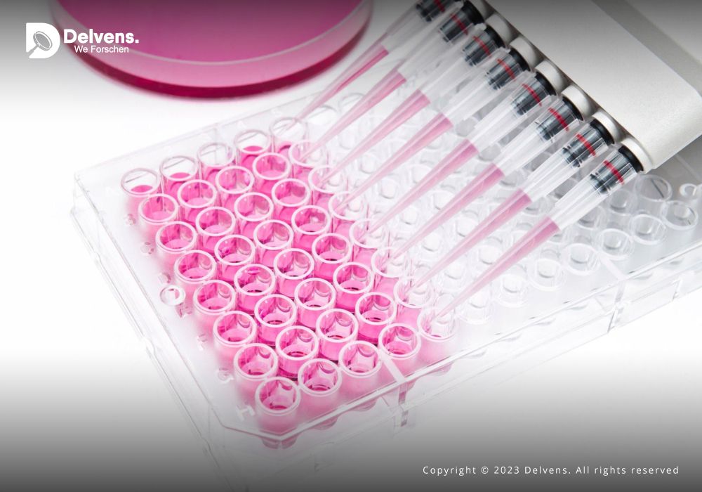 Mapping Progress: An Extensive Analysis of In-Vitro Toxicology Testing Research