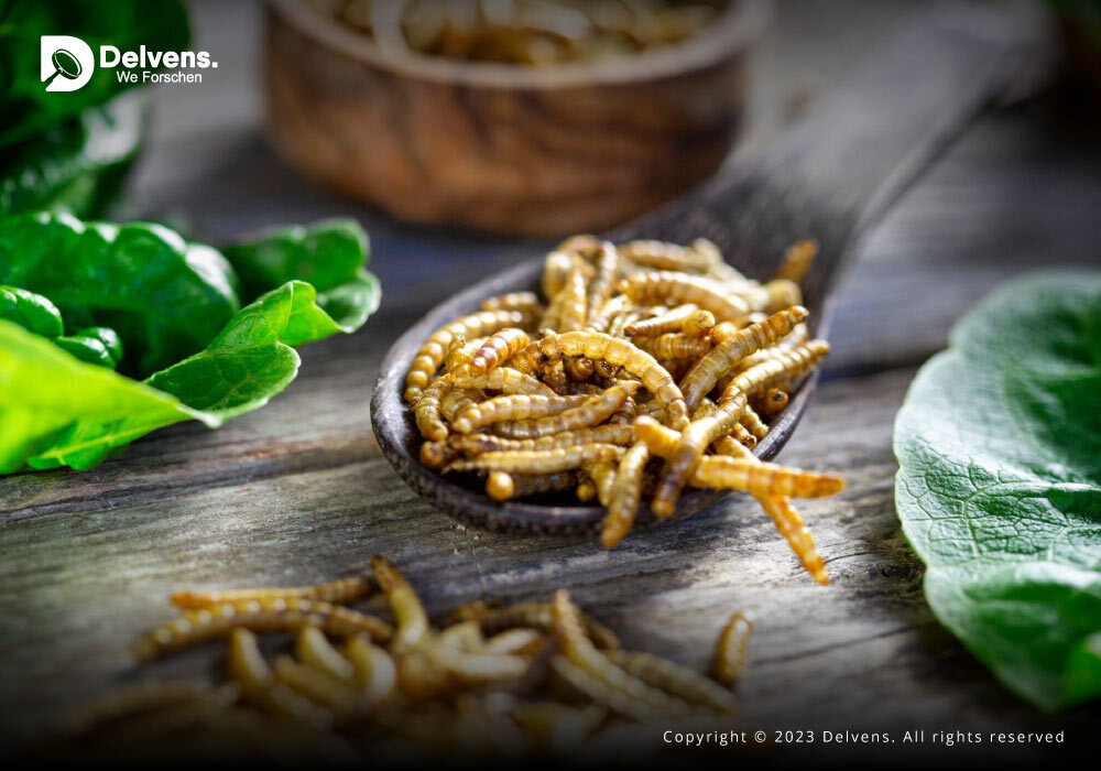 Navigating Tomorrow: Forecasting Trends in the Insect Protein Market