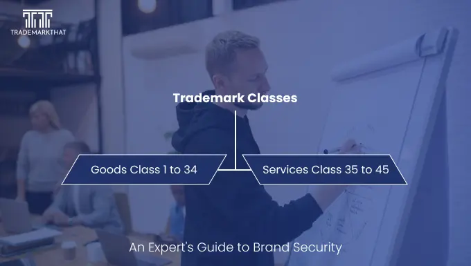 Mastering Trademark Classes: An Expert's Guide to Brand Security