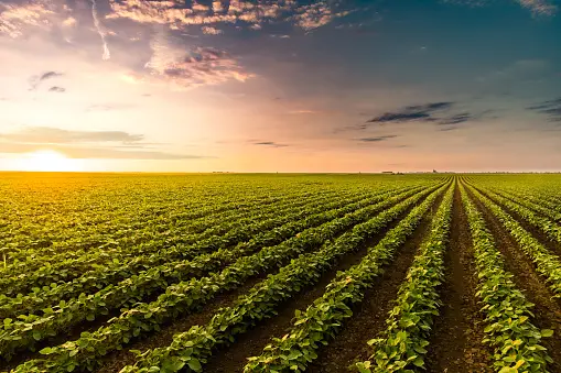 Smart Agriculture Market Overview by Advance Technology, Future Outlook 2030