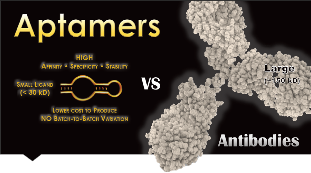 Aptamers Market Size, Share Analysis, Key Companies, and Forecast To 2030	