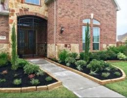 Front yard landscape