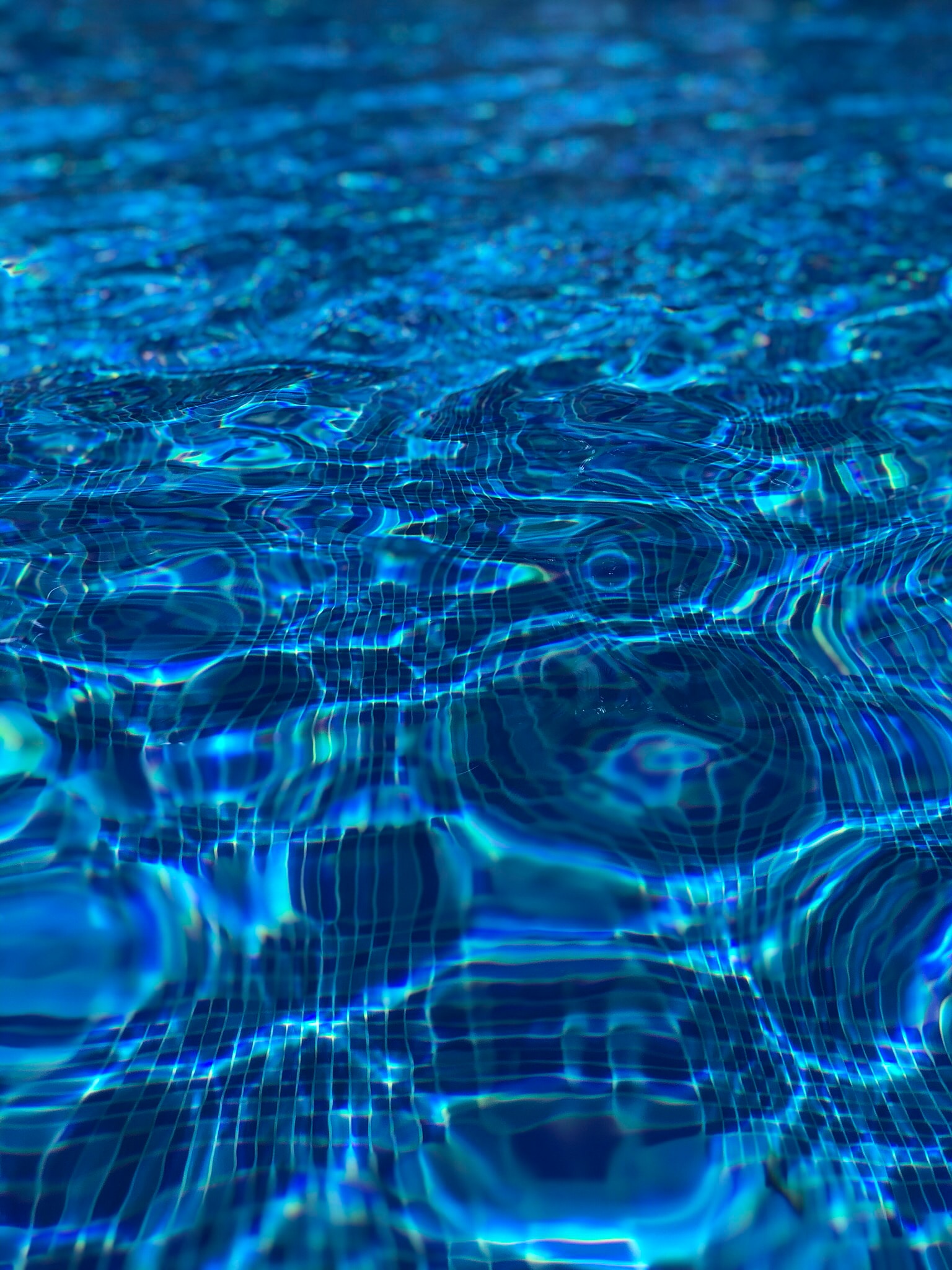 The Dynamic Duo of Swimming Pool Heater and Filters