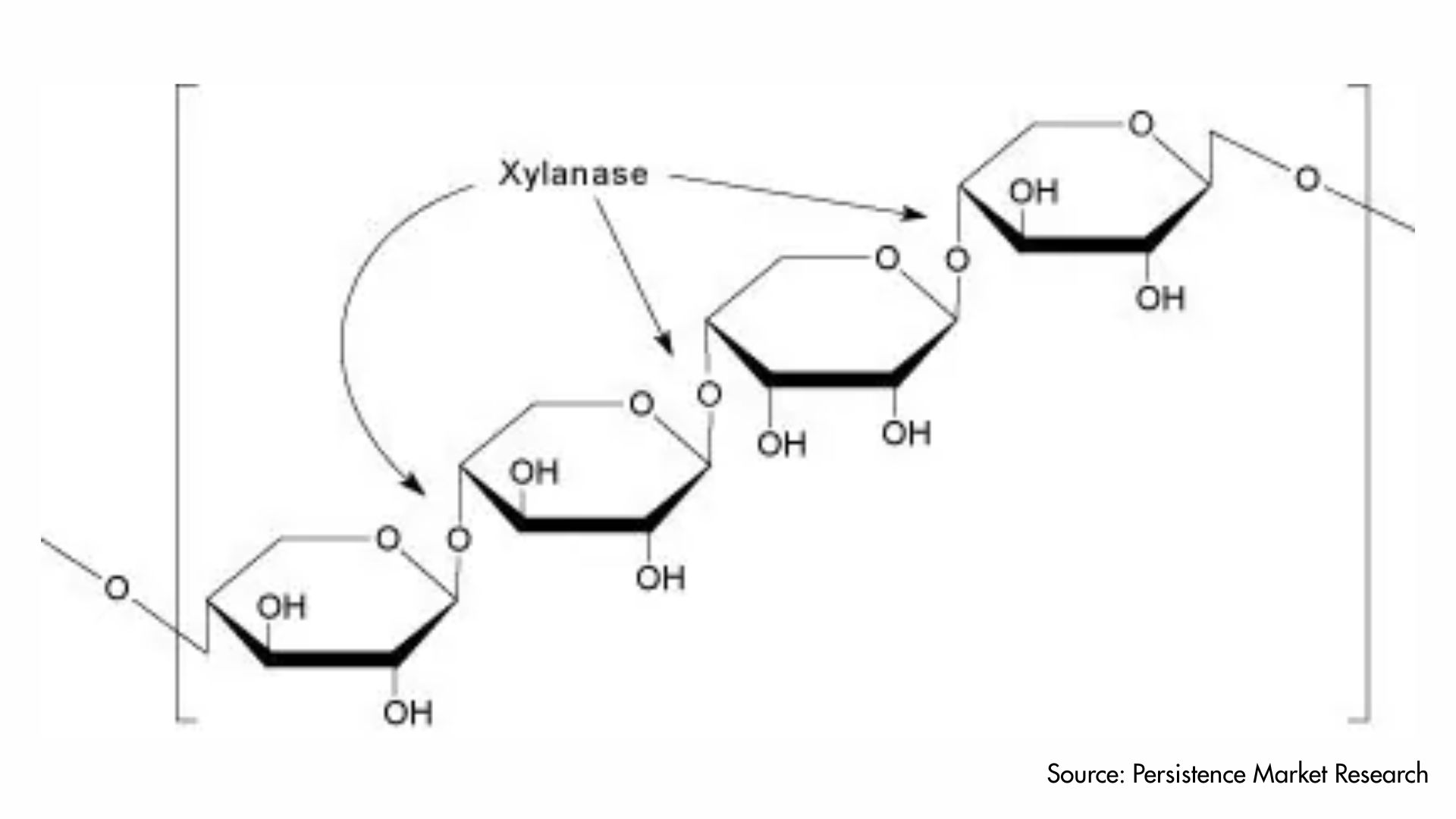 Xylanase Market Challenges Include Enzyme Stability and Cost Factors