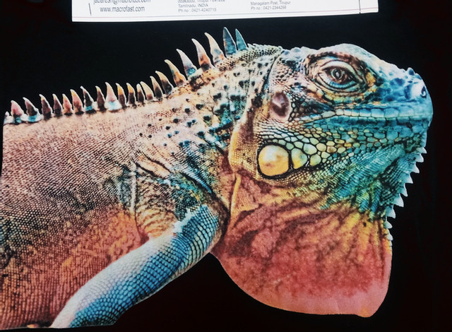 ORGANIC SWADDLES | Macrofast Digital Textile printing