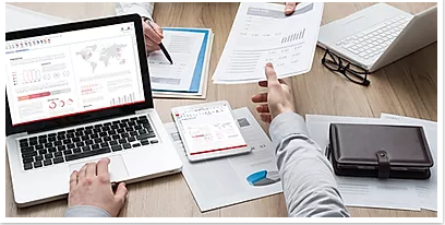 Document Translation Services