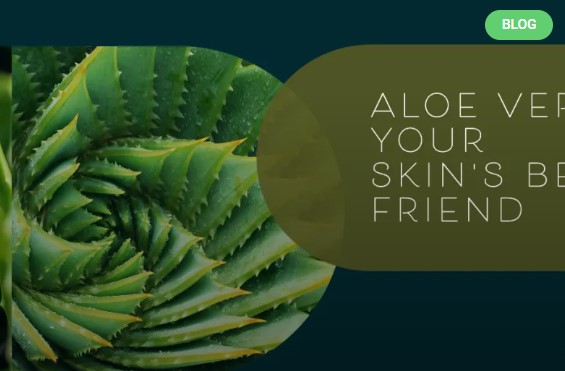Natural Remedies That Outperform Aloe Vera in Skin Care